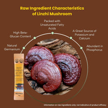 Load image into Gallery viewer, 6-Year Korean Red Ginseng 3-Piece Set (6년근 홍삼 3종 세트)(Hot Deal!)