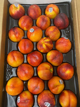 Load image into Gallery viewer, Yellow Nectarine 노란 천도 20~23LB