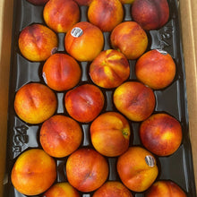 Load image into Gallery viewer, Yellow Nectarine 노란 천도 20~23LB
