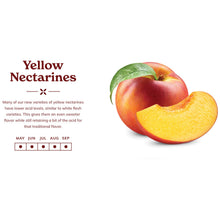 Load image into Gallery viewer, Yellow Nectarine 노란 천도 20~23LB
